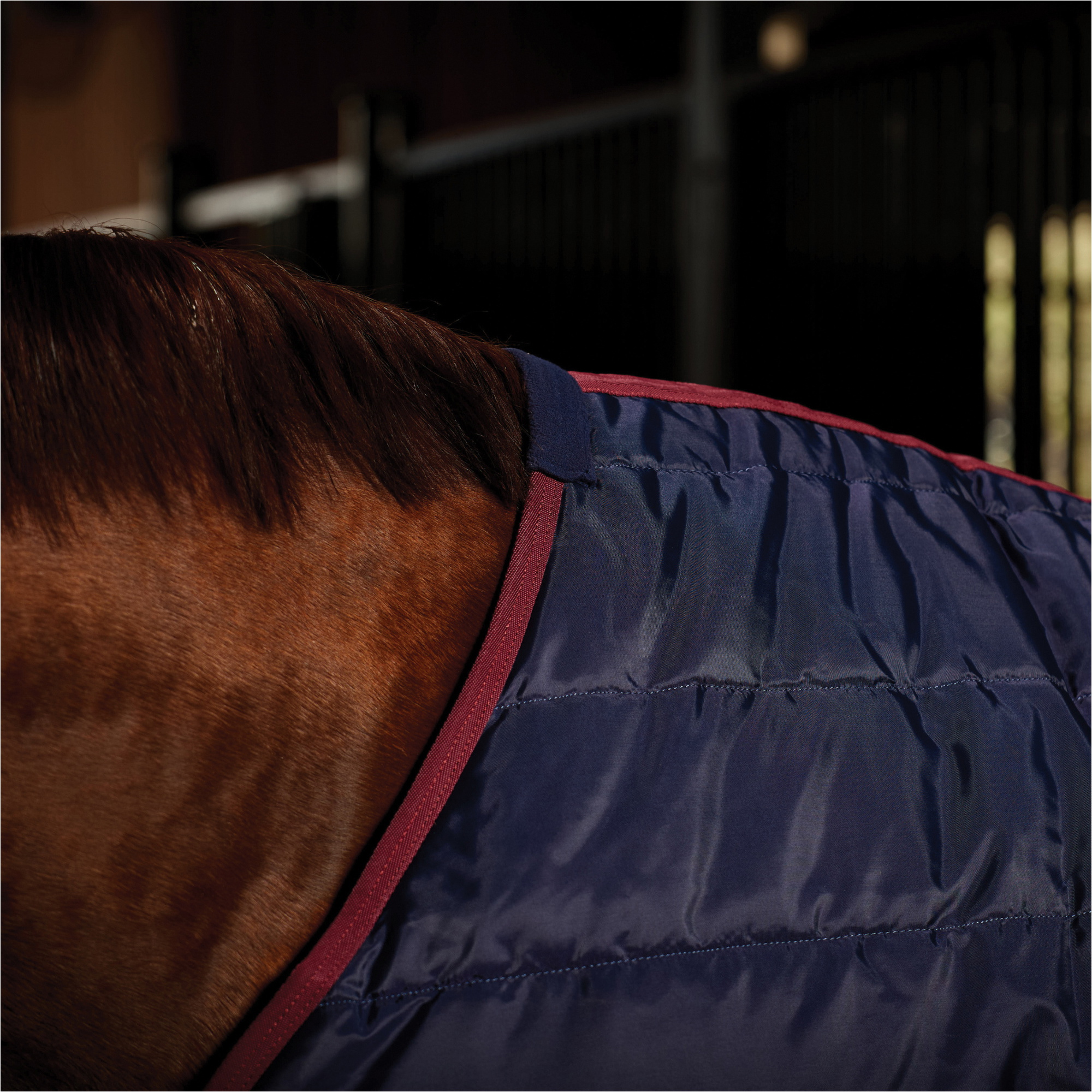 2025 WeatherBeeta Comfitec 210D Channel Quilt Stable Standard Neck 102904 - Navy